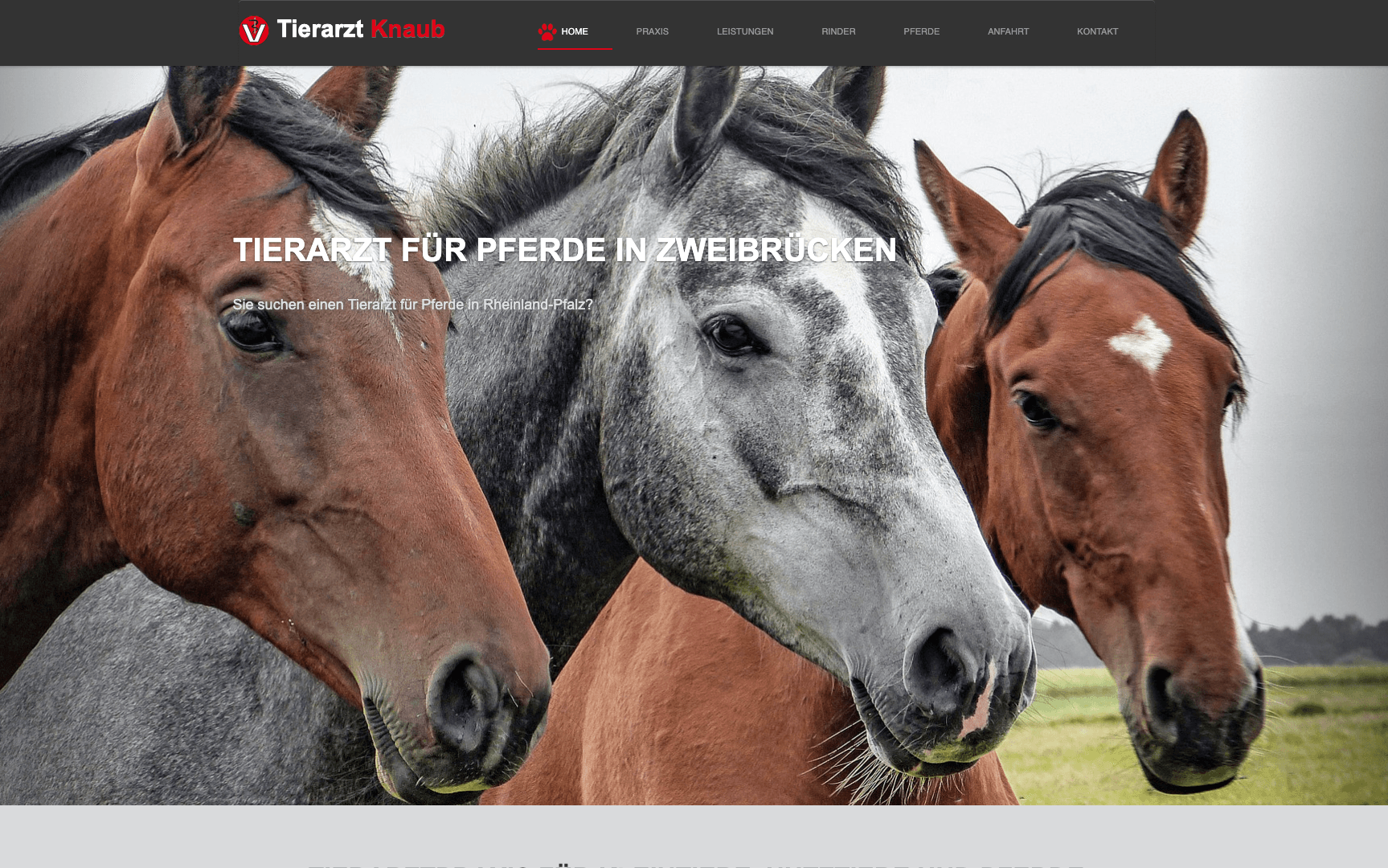 Screenshot : Tierarzt Knaub – Pferdepraxis Zweibrücken